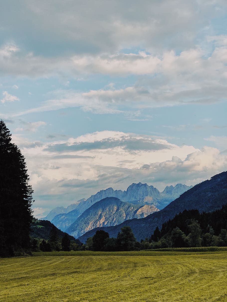 gris, núvols, flotant, verd, planes d'herba, naturalesa, a l'aire lliure, Serra, muntanya, planta, arbre, avet, abies, pastures, camp, herba, adventurepark osttirol, ainet, Austràlia, temps, rural, granja, prat, núvol, núvol - cel, escenics - natura, cel, escena tranquil·la, bellesa a la natura, tranquil·litat, medi ambient, paisatge, escena no urbana, terra, cap gent, idíl·lic, dia, rang, cim de muntanya, 4K