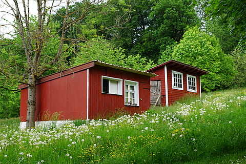 klein, Haus, Scheune, winziges Zuhause, Mini, Wiese, Feld, Fertig, Holz, bunt, Wald, Natur, Sommer-, Schweden, Skandinavien, Deutschland, Zuhause, gemütlich, Glück, Baum, rot, bordo, Blumen, Konstruktion, die Architektur, Pflanze, gebaute Struktur, Wachstum, Gebäudehülle, grüne Farbe, Gebäude, Land, keine Leute, Tag, draußen, Schönheit in der Natur, Grün, Wohngegend, Blume, Hütte, 5K, CC0, gemeinfrei, lizenzfrei