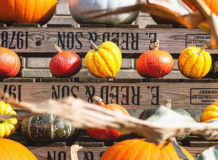 squash lot, alimente, suc de fructe, floră, dovleac, legume și fructe, plantă, vegetal, nord lincolnshire, 78 newport, Regatul Unit, rodie, fruct, poster, colaj, artă, piaţă, magazin, mancare si bautura, mâncat sănătos, text, culoare portocalie, natură moartă, prospeţime, celebrare, nici o persoana, bunăstare, western script, cu amănuntul, de vânzare, zi, comunicare, stand de piață, portocale, 4K, CC0, domeniu public, fără drepturi de autor