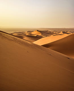 woestijn, avontuur, dor, dageraad, droog, duin, heet, landschap, afgelegen, Sahara, zand, duinen, zandduin, scenics - natuur, hemel, droog klimaat, klimaat, land-, rustige scène, kalmte, milieu, niet-stedelijke scène, schoonheid in de natuur, natuur, horizon, geen mensen, dag, horizon over land, buitenshuis, atmosferisch, 4K, CC0, publiek domein, royaltyvrij