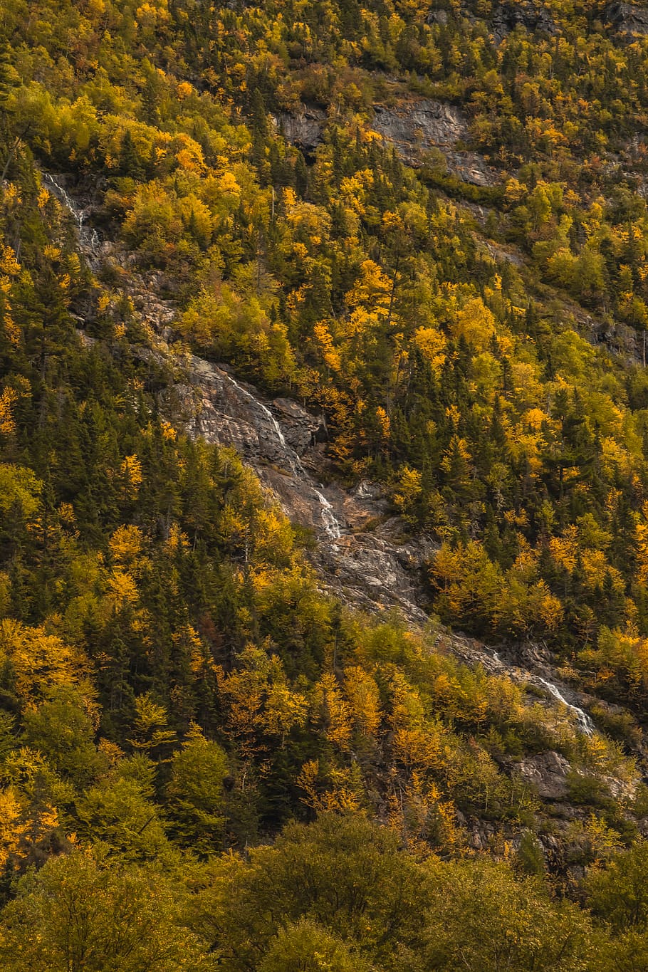 Canadà, québec, cascada, corrent, boscos, muntanya, rier, bosc, planta, arbre, bellesa a la natura, escenics - natura, tardor, terra, groc, cap gent, tranquil·litat, naturalesa, creixement, dia, paisatge, medi ambient, escena tranquil·la, escena no urbana, canvi, a l'aire lliure, vista d’angle alt, 5K