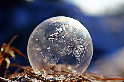 frossen boble, isboble, iskrystall, såpeboble, krystallinsk, frossen, frostet såpeboble, ze, frostboble, vinter, eiskristalle, frost, snø, kald, ball, boble, frostkule, is, seifenblase fryst, vinterlig, isball, frostet, frosne iskrystaller, krystall, dyreliv, dyre temaer, dyr, natur, nærbilde, dyr i naturen, virvelløse, ett dyr, ingen folk, selektiv fokusering, utendørs, shell, skjørhet, dag, dyreskall, sårbarhet, insekt, makro, gjennomsiktig, fokusere på forgrunnen, marine, 5K, CC0, offentlig domene, opphavsrett gratis