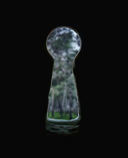 bosc, secret, borrosa, clau, forat, fosc, curiós, cap gent, fons negre, primer pla, a l'interior, naturalesa, silueta, arquitectura, finestra, tir de l'estudi, part del cos, història, bellesa a la natura, fantasmal, salut i medicina, retrat, el passat, 1080P, CC0, domini públic, lliure de regalies