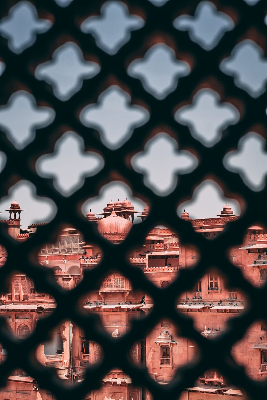 edifici de formigó vermell, art, fons, clàssic, disseny, element, fort, a la graella, il·lustració, ornamentat, patró, Rajasthan, retro, forma, estil, símbol, textura, vector, marc complet, primer pla, cap gent, a l'interior, enfocament selectiu, repetició, metall, tanca, seguretat, art i artesania, il·luminat, estructura construïda, protecció, límit, dia, resum, 5K