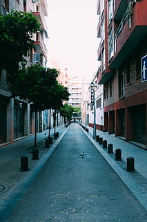 path, walkway, handrail, banister, road, urban, building, city, town, street, asphalt, tarmac, pavement, sidewalk, home decor, railing, person, human, flagstone, office building, building exterior, architecture, built structure, direction, the way forward, residential district, diminishing perspective, sky, no people, day, nature, outdoors, plant, clear sky, footpath, transportation, in a row, alley, row house, long, 5K, CC0, public domain, royalty free