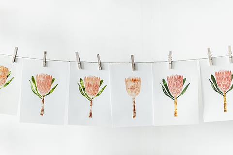 Weiß, Papier-, Orange, Blumenmuster viel, Kunst, Wäscheklammern, kreativ, Design, Blumen, Grafik, Grafikdesign, hängend, Illustration, gemälde, weißer Hintergrund, drinnen, Seite an Seite, in einer Reihe, keine Leute, Studioaufnahme, Glas, Essen und Trinken, Stillleben, Natur, Wahl, Erfrischung, Variation, Frische, Getränk, Pflanze, Wein, Kreativität, Wandbau - Funktion, Lebensmittel, 4K, CC0, gemeinfrei, lizenzfrei
