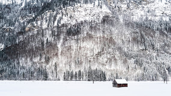 muntanya, muntanya alta, núvol, cel, cim, cresta, paisatge, naturalesa, vall, turó, neu, hivern, vista, viatjar, arbres, casa, temperatura de fred, bellesa a la natura, arbre, planta, dia, terra, cap gent, escena tranquil·la, Color blanc, medi ambient, escena no urbana, congelat, escenics - natura, tranquil·litat, a l'aire lliure, nevar, arbre de coníferes, 4K, CC0, domini públic, lliure de regalies