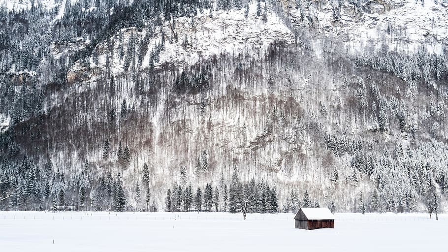 muntanya, muntanya alta, núvol, cel, cim, cresta, paisatge, naturalesa, vall, turó, neu, hivern, vista, viatjar, arbres, casa, temperatura de fred, bellesa a la natura, arbre, planta, dia, terra, cap gent, escena tranquil·la, Color blanc, medi ambient, escena no urbana, congelat, escenics - natura, tranquil·litat, a l'aire lliure, nevar, arbre de coníferes, 4K