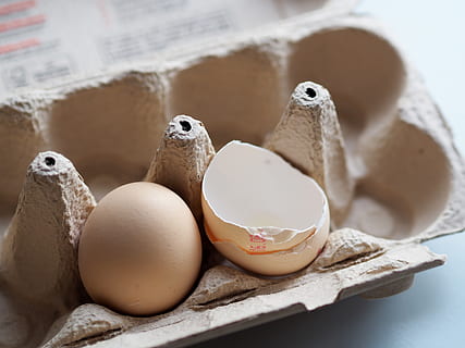 vejce, skořápka, balíček, lepenka, upéct, připravit, bio, jídlo, karton, vejce box, slepičí vejce, balení vajec, jíst, přírodní produkt, obal, pták, uvnitř, zvíře, stálý život, detail, zvířat, zastoupení zvířat, nikdo, zastoupení, umění a řemesla, jídlo a pití, obratlovců, skupina zvířat, dřevo - materiál, hračka, zvířecí vejce, 4K, CC0, veřejná doména, bez autorských práv