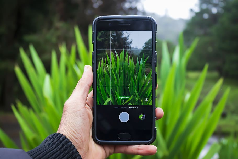 Ausflug, Gitter, Hand gehalten, Erfassung, hd, breit, Tapete, minimal, Foto machen, Bild im Bild, Kamera, Bildschirm, Handy, Kanon, Tiefe, Portraitmodus, Technologie, Landschaft, Natur, Bokeh, menschliche Hand, Hand, kabellose Technologie, halten, menschliches Körperteil, Kommunikation, Pflanze, Mobiltelefon, eine Person, Smartphone, grüne Farbe, tragbares Informationsgerät, Fokus auf den Vordergrund, echte Menschen, Verbindung, Tag, Freizeitbeschäftigung, draußen, Finger, 5K
