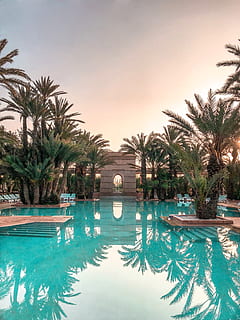Schwimmen, Schwimmbad, umgeben, Bäume, Einbaum, exotisch, idyllisch, Luxus, Palmen, am Pool, Reflexion, Entspannung, Resort, szenisch, tropisch, Wasser, Palme, Baum, tropisches Klima, Pflanze, Natur, Himmel, Ruhe, keine Leute, ruhige Szene, Wachstum, Schönheit in der Natur, Reiseziele, Ufergegend, Szenen - Natur, Urlaubsort, draußen, türkisfarben, 2K, CC0, gemeinfrei, lizenzfrei