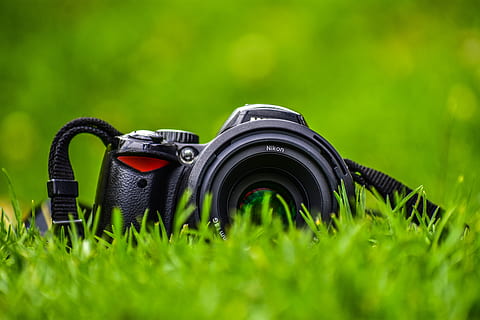 kameru v rovině, Fotoaparát, popředí, klasický, starý, zelená barva, rostlina, tráva, fotografická témata, fotoaparát - fotografické vybavení, Černá barva, Příroda, nikdo, den, pole, detail, selektivní zaměření, růst, zaměřit se na popředí, sport, přistát, fotografické vybavení, venku, zařízení, bezpečnost, digitální fotoaparát, 5K, CC0, veřejná doména, bez autorských práv