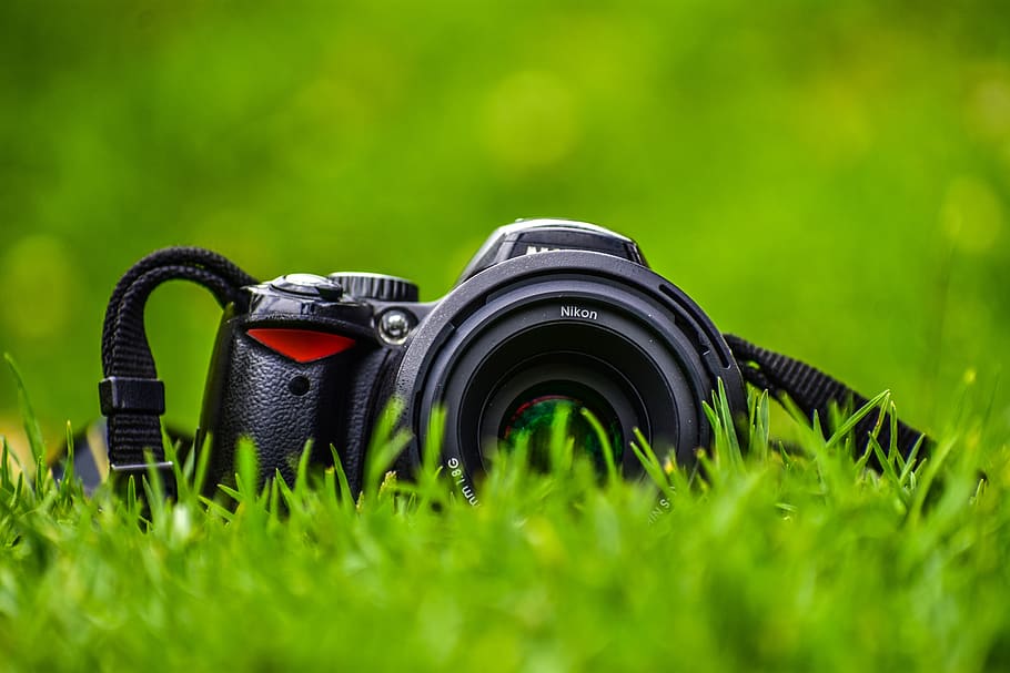kameru v rovině, Fotoaparát, popředí, klasický, starý, zelená barva, rostlina, tráva, fotografická témata, fotoaparát - fotografické vybavení, Černá barva, Příroda, nikdo, den, pole, detail, selektivní zaměření, růst, zaměřit se na popředí, sport, přistát, fotografické vybavení, venku, zařízení, bezpečnost, digitální fotoaparát, 5K