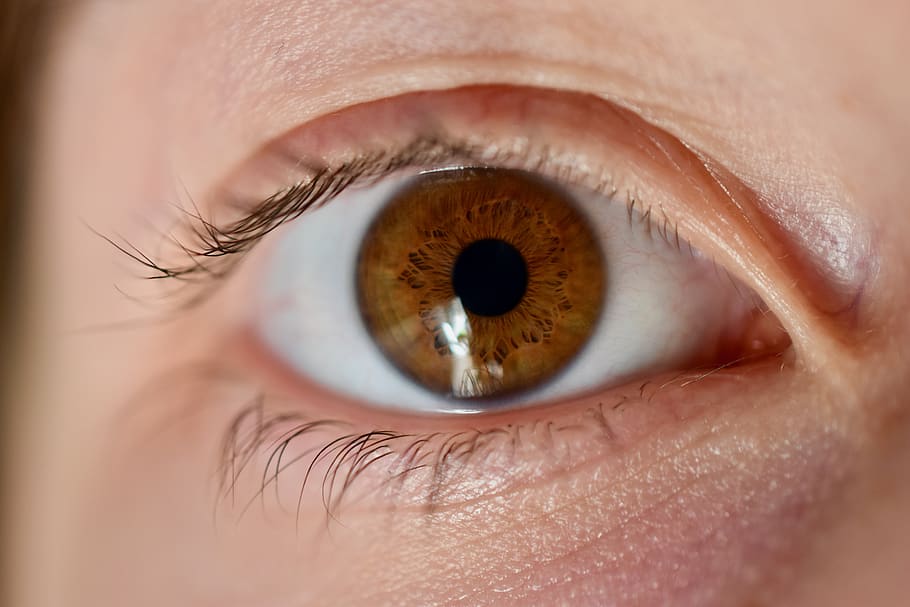 ull, iris, pestanyes, vista, sales, primer pla, ull humà, percepció sensorial, part del cos humà, pestanya, primer pla extrem, part del cos, una persona, adult, globus ocular, iris - ull, mirant, reflexió, macro, dones, adult jove, cella, dona guapa, rostre humà, 5K