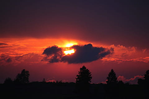 solnedgang, indstilling, sæt, natur, Eva, aften, sky - himmel, skønhed i naturen, træ, silhuet, himmel, ro, scenics - natur, plante, rolig scene, miljø, ingen mennesker, landskab, jord, Skov, dramatisk himmel, udendørs, nat, fyrretræ, mørk, nåletræ, fyrreskov, 1080P, CC0, offentligt domæne, royaltyfrie
