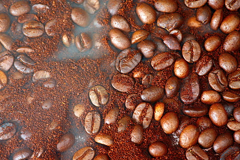 bønne, bakgrunn, makro, mønster, mat, drikke, mørk, fotografering, heap, mocha, ingen, jordbruk, kopiere, hvit, kaffe, brun, horisontal, full, gourmet, bakt, svart, glatt, nærbilde, alkoholfri, abstrakt, flavored, ramme, duftende, tekstur, frø, gruppe, farge, objekter, ingrediens, rom, bilde, stor, strukturert, friskhet, full ramme, mat og Drikke, ingen folk, kaffe - drikke, vann, natur, stor gruppe gjenstander, overflod, innendørs, stekt kaffebønne, høy vinkel visning, dag, koffein, 5K, CC0, offentlig domene, opphavsrett gratis