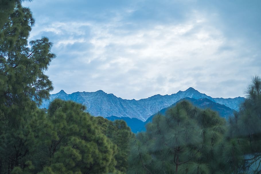 arbres, muntanyes, rang, himalayas, dhaulagiri, naturalesa, paisatge, muntanya, núvol - cel, cel, arbre, planta, bellesa a la natura, escenics - natura, escena tranquil·la, Serra, tranquil·litat, cap gent, escena no urbana, medi ambient, creixement, dia, idíl·lic, bosc, remot, a l'aire lliure, cim de muntanya, 4K
