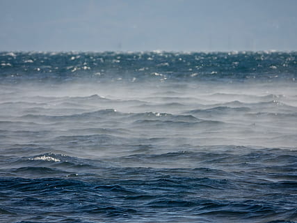 golven golven bespatten, oceaan, water, zee, natuur, buitenshuis, waterscooters, vervoer, voertuig, vaartuig, golven, sport-, zwemmen, sport, dier, zeeleven, visvangst, zoogdier, vrijetijdsactiviteiten, avontuur, vogel, schoonheid in de natuur, Golf, beweging, hemel, scenics - natuur, geen mensen, blauw, waterkant, dag, horizon, horizon over water, achtergronden, kalmte, volledig kader, idyllisch, 4K, CC0, publiek domein, royaltyvrij