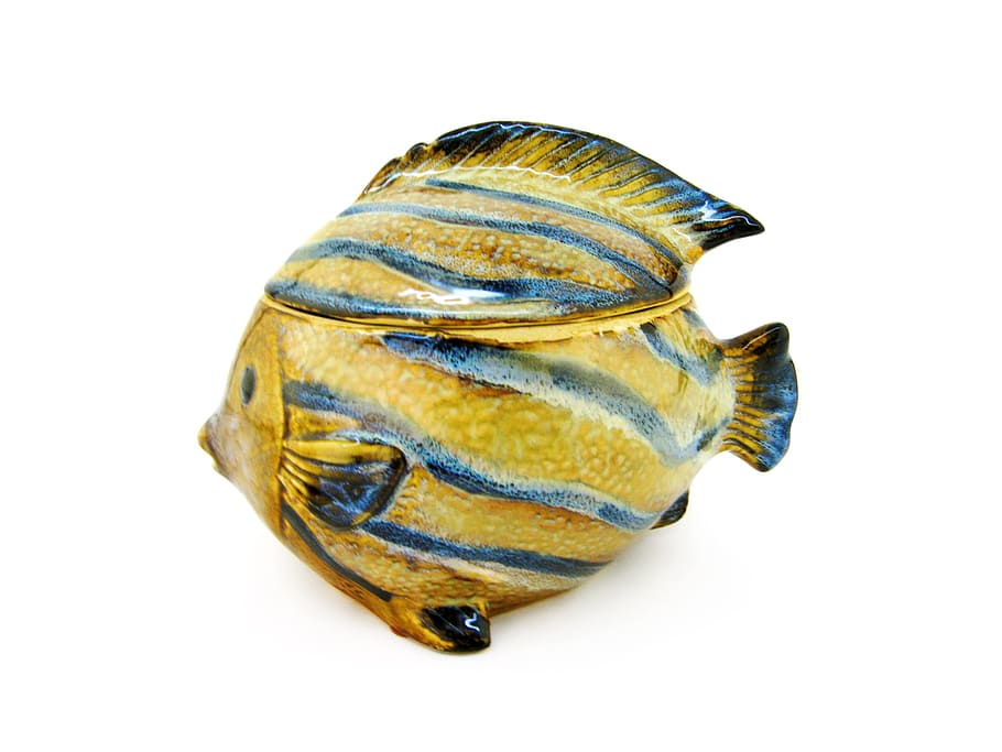 vaso, pesce, ceramica, cerchio, avvicinamento, contenitore, bianca, vuoto, occhi, pentola, forma, piccolo, sfondo bianco, girato in studio, in casa, animale, ritagliare, nessuno, temi animali, fauna selvatica, natura morta, conchiglia, cibo e bevande, cibo, mollusco, guscio di animale, singolo oggetto, invertebrato, frutti di mare, giallo, animali allo stato selvatico, marino, 1080P