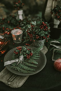 verde, plante de frunze, gri, farfurie, frunze, punerea mesei, fructe de padure, boabă, aranjament, a închide, ferigă, întuneric, detaliu, Styled, Crăciun, decor, celebrare, roșu, iarnă, masa, vacanţă, Crăciun ornament, glob de Craciun, bogat ornamentat, copac, cadou, sezon, culturi, fundaluri, nici o persoana, lumânare, Brad de Crăciun, lemn - material, ramură, rustic, brad, alimente, romantism, în interior, eleganţă, 5K, CC0, domeniu public, fără drepturi de autor