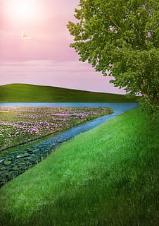 fantasy, landscape, meadow, tree, bach, lake, hill, grass, image manipulation, background image, template, atmosphere, sunlight, clouds, greeting card, lighting, empty, mood, plant, beauty in nature, tranquil scene, tranquility, sky, scenics - nature, growth, green color, nature, water, field, land, no people, environment, rural scene, idyllic, outdoors, 4K, CC0, public domain, royalty free