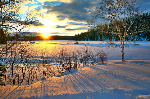 tramonto, inverno, natura, freddo, cielo, alberi, betulla, nuvole, colori, la neve, gel, crepuscolo, paesaggio, Québec, Canada, temperatura fredda, albero, pianta, bellezza nella natura, la tranquillità, scenics - natura, scena tranquilla, scena non urbana, copertura, nessuno, sole, luce del sole, terra, albero nudo, all'aperto, 5K, CC0, dominio pubblico, privo di copyright