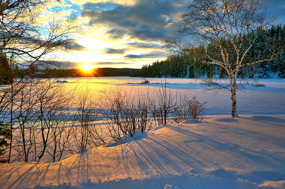 posta de sol, hivern, naturalesa, fred, cel, arbres, bedoll, núvols, colors, neu, gel, crepuscle, paisatge, québec, Canadà, temperatura de fred, arbre, planta, bellesa a la natura, tranquil·litat, escenics - natura, escena tranquil·la, escena no urbana, cobertura, cap gent, sol, llum solar, terra, arbre nu, a l'aire lliure, 5K