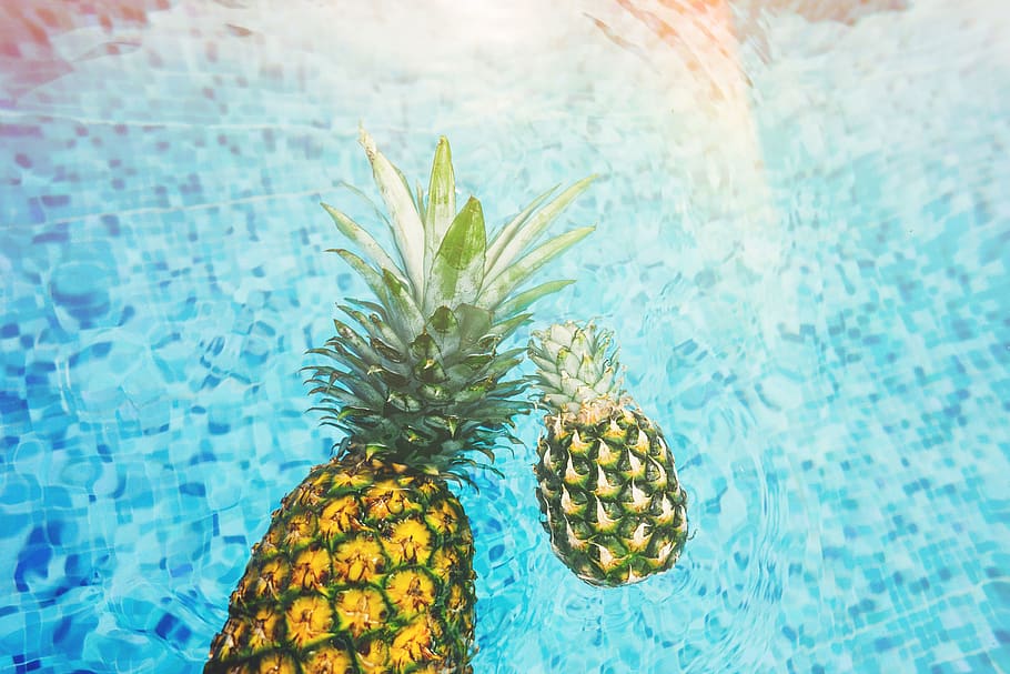 dos, pinyes, cos, aigua, brillant, bombolla, color, flatlay, flora, menjar, frescor, fruita, diversió, h2o, salut, oci, llum, mexicà, recreació, relaxació, mar, splash, estiu, nedar, piscina, rajoles, tropical, fruita tropical, turquesa, sota l'aigua, humit, blau, naturalesa, cap gent, dia, a l'aire lliure, groc, pinya, rajola, vista d’angle alt, transparent, planta, primer pla, benestar, patró, color turquesa, flotant a l'aigua, 5K