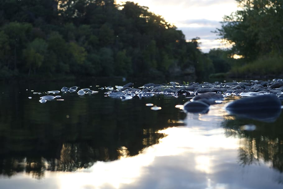 foto del riu, platja, núvols, la llum del dia, medi ambient, llac, llum, moviment, naturalesa, a l'aire lliure, parc, reflexió, riu, roques, escènic, vora del mar, cel, viatjar, arbres, aigua, planta, arbre, cap gent, tranquil·litat, escena tranquil·la, enfocament selectiu, bellesa a la natura, davant del mar, escenics - natura, dia, creixement, bosc, escena no urbana, nivell superficial, 5K