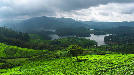 Serra, llac, ennuvolat, cel, naturalesa, a l'aire lliure, camp, pastures, muntanya, turó, granja, rural, verd, prat, hivern, terra, ranxo, paisatge, altiplà, pasturatge, escenics - natura, planta, bellesa a la natura, color verd, medi ambient, escena tranquil·la, núvol - cel, tranquil·litat, agricultura, arbre, creixement, escena rural, cap gent, cultiu de te, plantació, 5K, CC0, domini públic, lliure de regalies