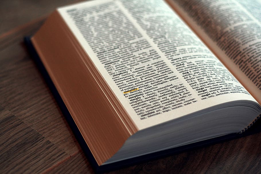 Olanda, libro, dizionario, semplificare, pubblicazione, formazione scolastica, spiritualità, religione, credenza, saggezza, nessuno, testo, letteratura, pagina, in casa, Aperto, competenza, comunicazione, tavolo, legno - materiale, libro con copertina rigida, studiando, pelle, manuale, 4K