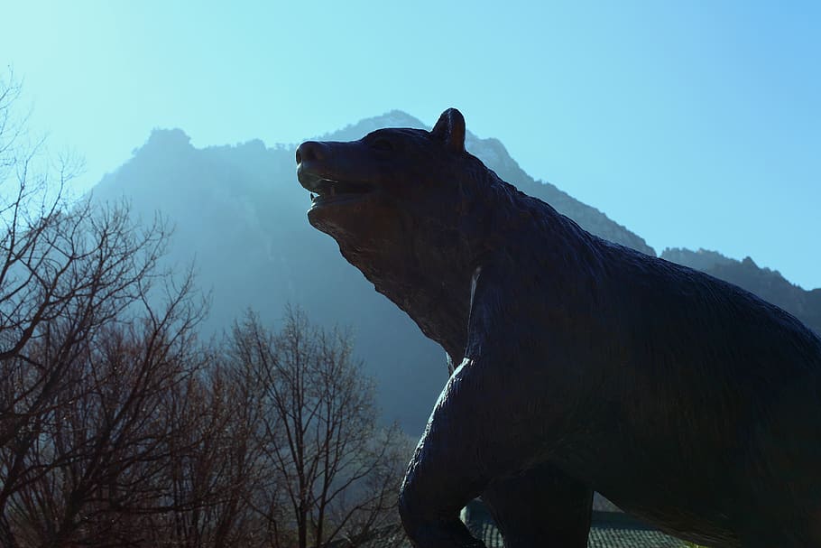 orso, montagna, natura, foresta, paesaggio, legna, cielo, turismo, arrampicata, animale, parco, viaggio, inverno, montagne, nebbia, scenario, ambiente, all'aperto, retroilluminazione, di, luce, luce del sole, Parco Nazionale, la natura del, temi animali, rappresentazione animale, fauna selvatica, albero, nessuno, un animale, rappresentazione, cielo sereno, giorno, vertebrato, Inquadratura dal basso, scultura, arte e artigianato, animali allo stato selvatico, pianta, testa di animale, bocca aperta, 5K