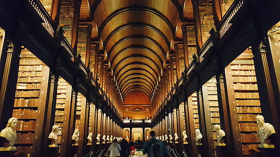 persones dins de la biblioteca, arquitectura, persona, passadís, edifici, humà, a l'interior, Irlanda, dublin, biblioteca antiga, arquejat, arc, llibre, biblioteca, ocell, animal, prestatge, prestatges, llegir, literatura, estructura construïda, en fila, sostre, grup de persones, il·luminat, viatjar, educació, equips d’il·luminació, publicació, dia, història, vista d’angle baix, prestatge per a llibres, el passat, columna arquitectònica, ornamentat, 2K, CC0, domini públic, lliure de regalies