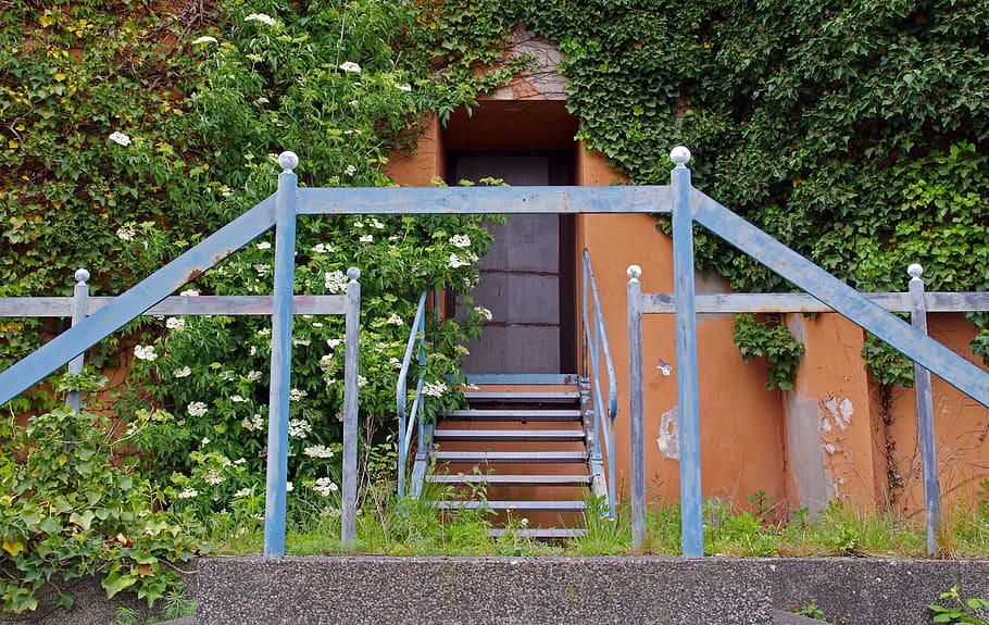 le scale, ringhiera, gradualmente, architettura, emergenza, scala, vecchio, costruzione, scalino, Treppengeländer, in su, pianta, struttura costruita, crescita, natura, giorno, nessuno, albero, all'aperto, colore verde, legno - materiale, cancello, gradini e scale, esterno dell'edificio, colore arancione, metallo, connessione, 4K