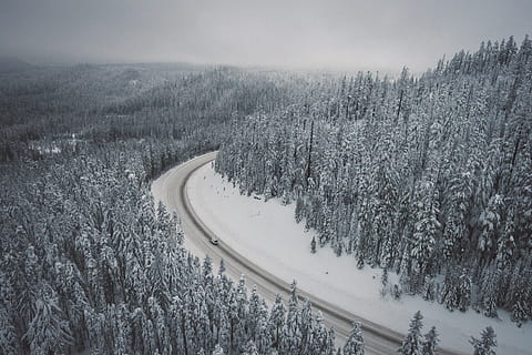 neu, hivern, blanc, fred, temps, gel, arbres, plantes, naturalesa, carretera, viatjar, aventura, cotxe, vehicle, transport, temperatura de fred, planta, arbre, escenics - natura, terra, tranquil·litat, paisatge, medi ambient, bellesa a la natura, escena tranquil·la, escena no urbana, cap gent, bosc, muntanya, dia, a l'aire lliure, muntanya nevada, pi, 4K, CC0, domini públic, lliure de regalies