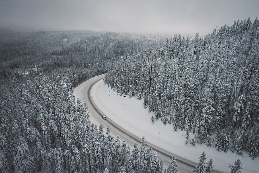 neu, hivern, blanc, fred, temps, gel, arbres, plantes, naturalesa, carretera, viatjar, aventura, cotxe, vehicle, transport, temperatura de fred, planta, arbre, escenics - natura, terra, paisatge, medi ambient, tranquil·litat, bellesa a la natura, muntanya, escena tranquil·la, escena no urbana, cap gent, dia, bosc, a l'aire lliure, muntanya nevada, 4K