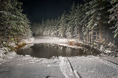 carretera, ple, neu, envoltat, fotografia de paisatge de pins, fred, fosc, caure, bosc, gel, paisatge, nit, a l'aire lliure, parc, Camí, estany, reflexió, escènic, viatjar, arbres, aigua, hivern, fusta, imatges de drets d’autor, planta, arbre, cap gent, naturalesa, escenics - natura, bellesa a la natura, terra, moviment, tranquil·litat, riu, medi ambient, escena tranquil·la, exposició llarga, escena no urbana, dia, aigua que flueix, que flueix, 5K, CC0, domini públic, lliure de regalies