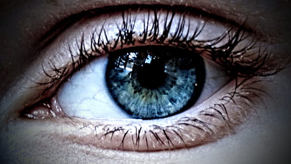 ull, obert, mirant, fosc, llum, to, parpella, micro, macro, siora, primer pla, alumne, ull blau, blau, vista, mira, pestanya, ull humà, part del cos humà, percepció sensorial, part del cos, retrat, mirant la càmera, primer pla extrem, adult jove, adult, una persona, iris - ull, gent maca, globus ocular, rostre humà, dona guapa, cella, 2K, CC0, domini públic, lliure de regalies