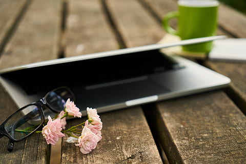 tecnología, ordenador portátil, computadora, la obra, oficina, estudiar, Internet, café, moderno, gafas, leer, flor, afuera, mesa, vaso, té, , inalámbrico, cómodo, relajarse, autor, hermoso, composición, planta floreciendo, planta, material de madera, tecnología inalámbrica, naturaleza, color rosa, frescura, conexión, belleza en la naturaleza, al aire libre, día, centrarse en primer plano, nadie, vista de alto ángulo, comunicación, cabeza de flor, 5K, CC0, dominio público, libre de derechos
