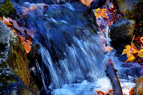 cascades, aigua, corrent, rierol, a l'aire lliure, cascada, Canadà, Milton, Hilton Falls Trail, full, algues, planta, flora, oceà, naturalesa, la vida marina, escull, mar, animal, rock, tardor, moviment, rock - object, sòlid, cap gent, bellesa a la natura, dia, exposició llarga, escenics - natura, bosc, calor - temperatura, aigua que flueix, terra, que flueix, moviment borrós, arbre, poder a la natura, 5K, CC0, domini públic, lliure de regalies