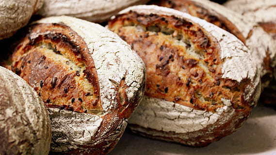 pa cuit, pa, menjar, murat, du pain et des jeux, França, fleca, pa de pa, pa francès, bun, pa orgànic, gra, cereals, festa, forner, aliments orgànics, cantal, pasta de llet, pa de pasta crua, rostit, bagel, menjar i beguda, frescor, primer pla, llesca de pa, tall, benestar, a l'interior, cap gent, alimentació saludable, rústic, casolà, tir de l'estudi, al forn, fruita, producte diari, primer pla extrem, pa marró, enfocament suau, menjar francès, 5K, CC0, domini públic, lliure de regalies