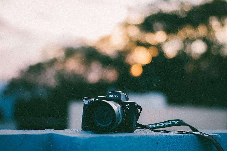 Černá, sony most fotoaparát, Fotoaparát, elektronika, digitální fotoaparát, popruh, zrnitý, zrcadlo, náladový, bokeh, a7iii, film, sony, bydlení, budova, byt, videokamera, nábytek, deska stolu, kamerové čočky, venku, květ, fotoaparát - fotografické vybavení, fotografická témata, zaměřit se na popředí, technologie, fotografické vybavení, detail, focení, nikdo, auto, sklo - materiál, aktivita, způsob dopravy, objektiv - optický přístroj, Příroda, retro stylu, přeprava, uvnitř, digitální jednooká zrcadlovka, 4K