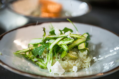 frokost, aftensmad, brunsch, risotto, ris, restaurant, mad, asparges, sund kost, mad og drikke, grøntsag, velvære, friskhed, klar til at spise, tæt på, plade, indendørs, ingen mennesker, selektiv fokusering, stilleben, portionsstørrelse, pynt, bord, salat, skål, måltid, porcelæn, servering skål, fristelse, Vegetarmad, 5K, CC0, offentligt domæne, royaltyfrie