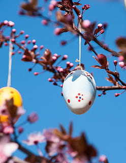 Pascua de Resurrección, huevo de Pascua, rama, azul, rosado, Cereza, de colores, huevo, vistoso, planta, árbol, celebracion, centrarse en primer plano, cielo, día, naturaleza, de cerca, nadie, crecimiento, flor, ramita, belleza en la naturaleza, comida, planta floreciendo, vacaciones, colgando, al aire libre, primavera, flor de cerezo, Cerezo, 2K, CC0, dominio público, libre de derechos