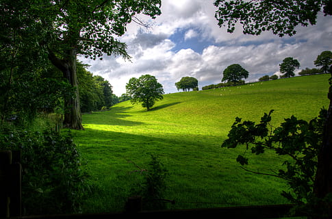 vert, colline, arbre, blanc, des nuages, bleu, ciel, jour, champ, herbe, paysage, la nature, des arbres, plante, couleur verte, nuage - ciel, scène tranquille, beauté dans la nature, croissance, tranquillité, paysages - nature, terre, personne, journée, environnement, feuillage luxuriant, feuillage, en plein air, 4K, CC0, domaine public, libre de droits