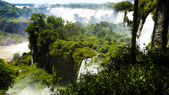 árboles al lado de cascadas, luz, tiempo de día, ambiente, fluir, bosque, verde, paisaje, montañas, naturaleza, selva, escénico, arboles, agua, cascadas, mojado, planta, árbol, paisajes - naturaleza, belleza en la naturaleza, color verde, crecimiento, tranquilidad, escena no urbana, escena tranquila, día, cascada, nadie, agua que fluye, tierra, follaje, exuberante follaje, al aire libre, fluido, 4K, CC0, dominio público, libre de derechos