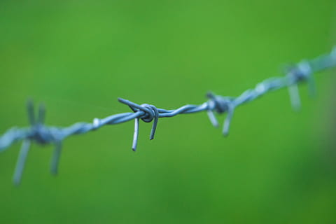 filferro de pues gris, tanca, seguretat, barrera, cable, protecció, límit, metall, filferro espinós, agut, primer pla, cap gent, color verd, prohibit, comunicació, centrar-se en primer pla, senyal d'advertència, a l'aire lliure, signe, enfocament selectiu, acer, 5K, CC0, domini públic, lliure de regalies