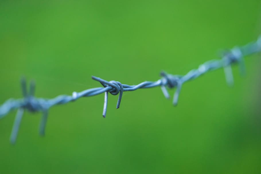 filferro de pues gris, tanca, seguretat, barrera, cable, protecció, límit, metall, filferro espinós, agut, primer pla, cap gent, color verd, prohibit, comunicació, centrar-se en primer pla, senyal d'advertència, a l'aire lliure, signe, enfocament selectiu, acer, 5K