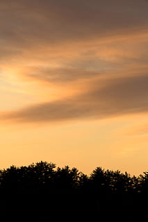 himlen under solnedgang, baggrundsbelyst, skyer, daggry, dagslys, natur, naturskøn, himmel, solopgang, solnedgang, træ, træer, skønhed i naturen, orange farve, ro, silhuet, scenics - natur, sky - himmel, rolig scene, plante, ingen mennesker, idyllisk, ikke-urbane scene, udendørs, vækst, dramatisk himmel, miljø, lav vinkel visning, 5K, CC0, offentligt domæne, royaltyfrie
