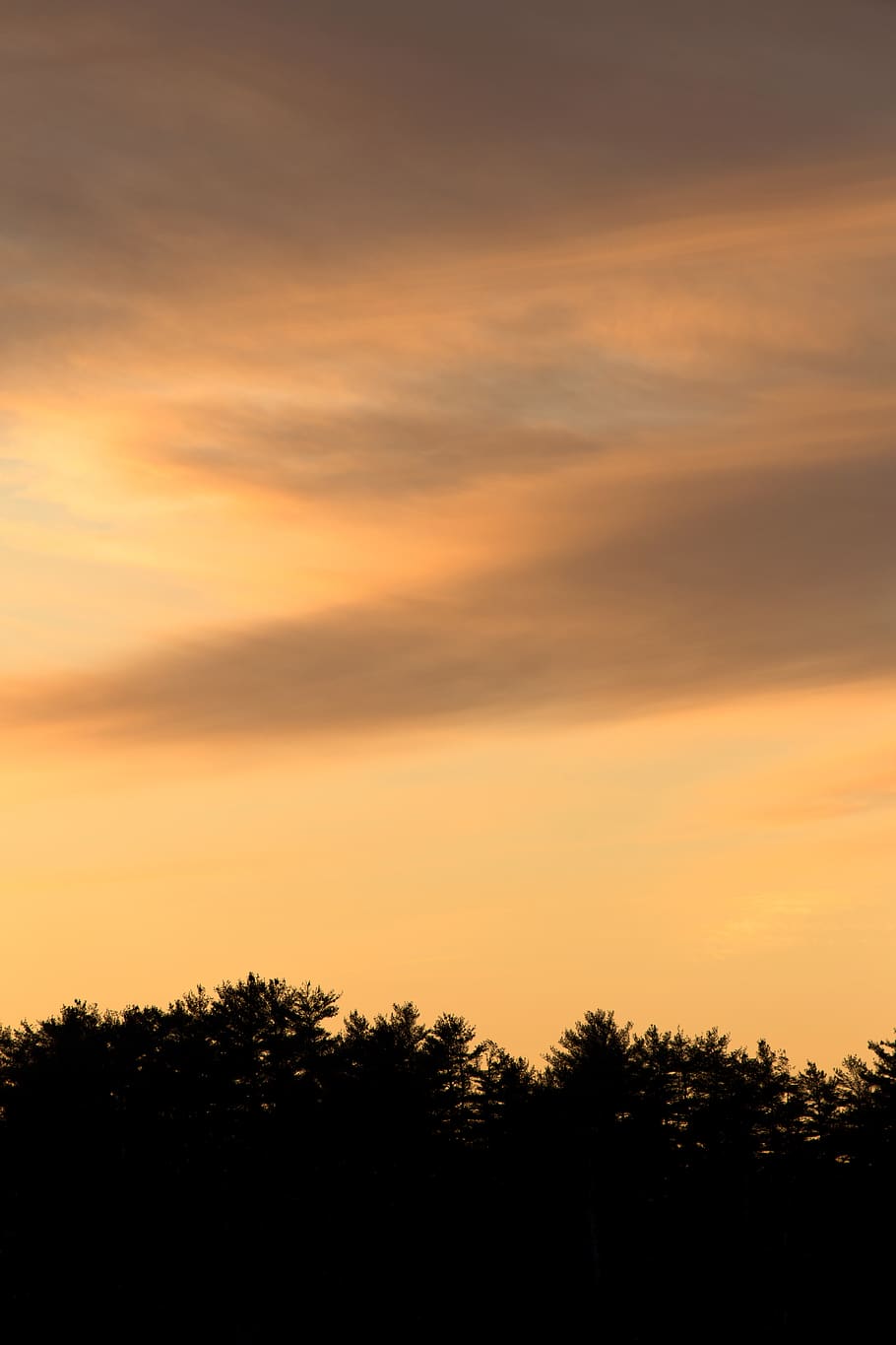 himlen under solnedgang, baggrundsbelyst, skyer, daggry, dagslys, natur, naturskøn, himmel, solopgang, solnedgang, træ, træer, skønhed i naturen, orange farve, ro, silhuet, scenics - natur, sky - himmel, rolig scene, plante, ingen mennesker, idyllisk, ikke-urbane scene, udendørs, vækst, dramatisk himmel, miljø, lav vinkel visning, 5K